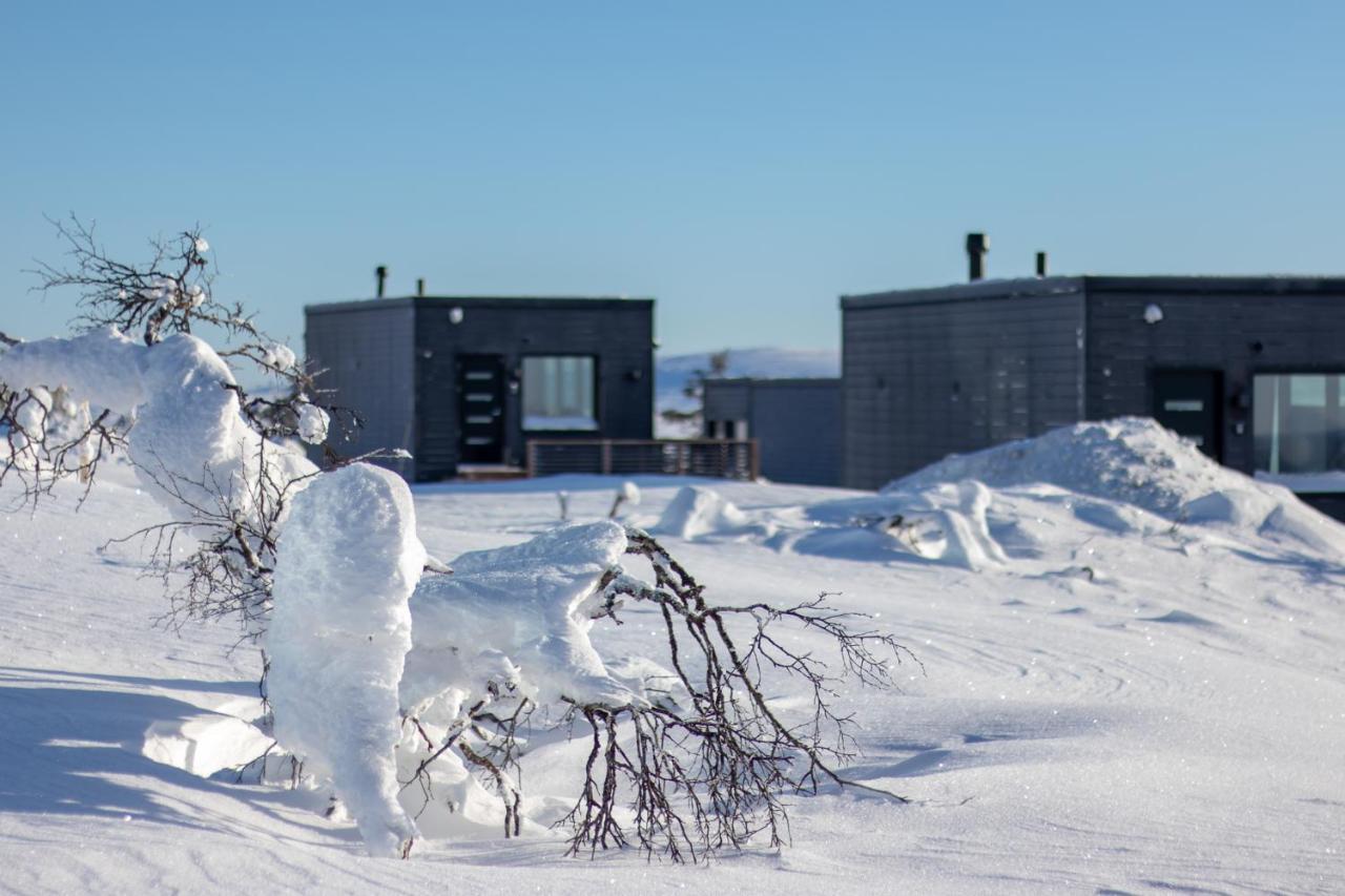 Top Star Saariselkae - Arctic Glass Cubes Zewnętrze zdjęcie